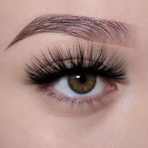 STEPHANIE LASHES